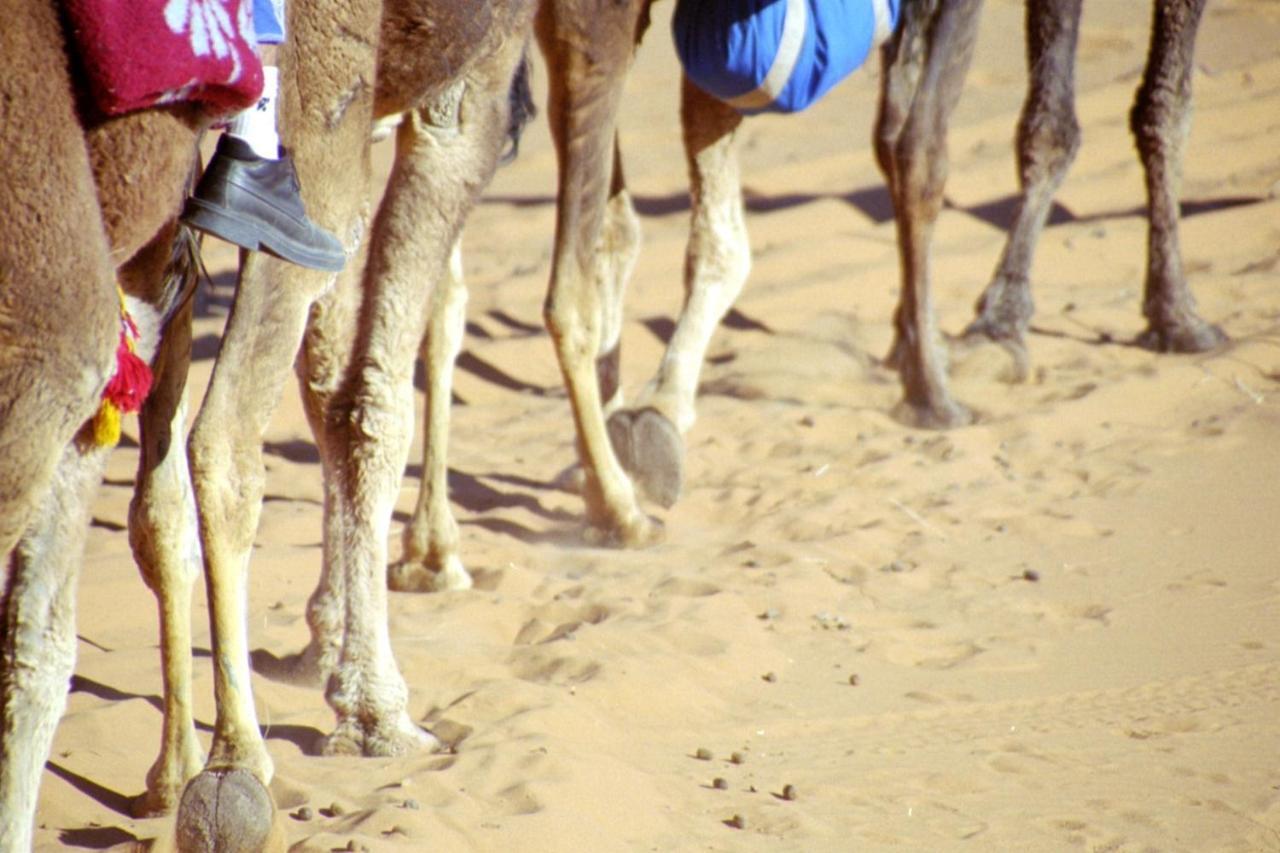 Haven La Chance Desert Hotel Merzouga Luaran gambar